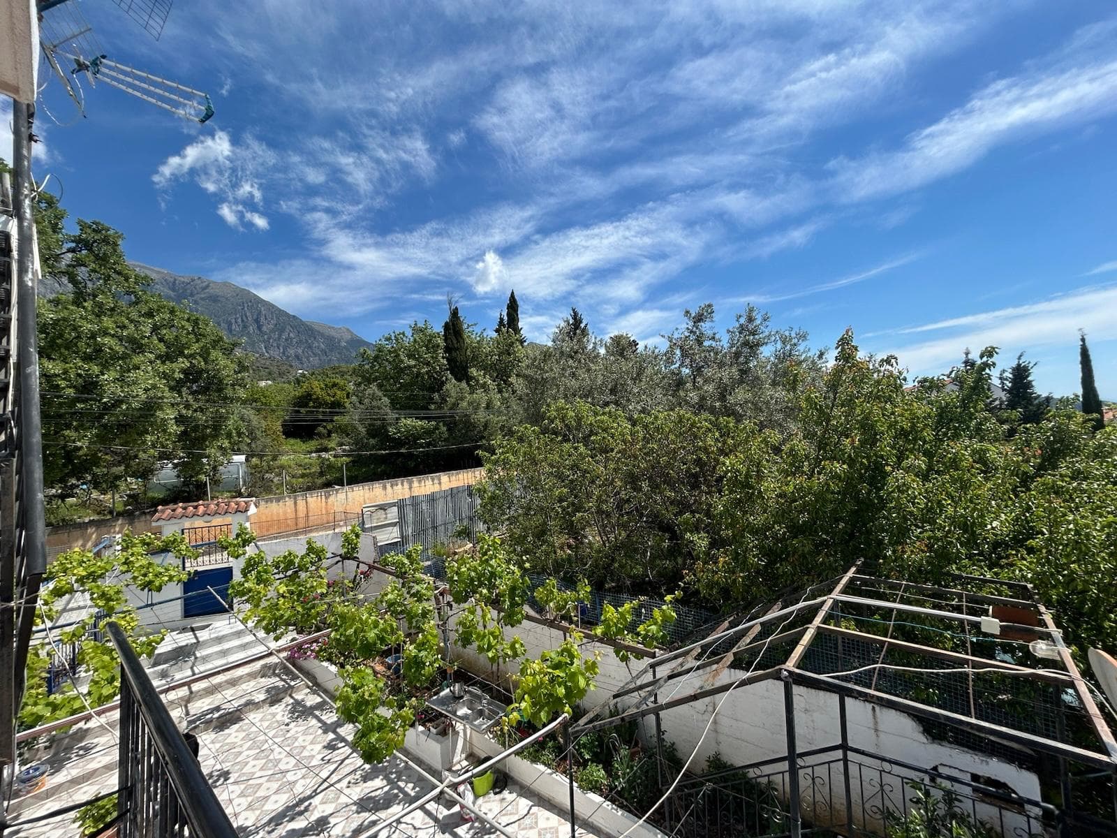 Balcony with mountain and olive grove view